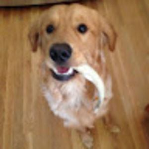 Meet your Posher, Steven